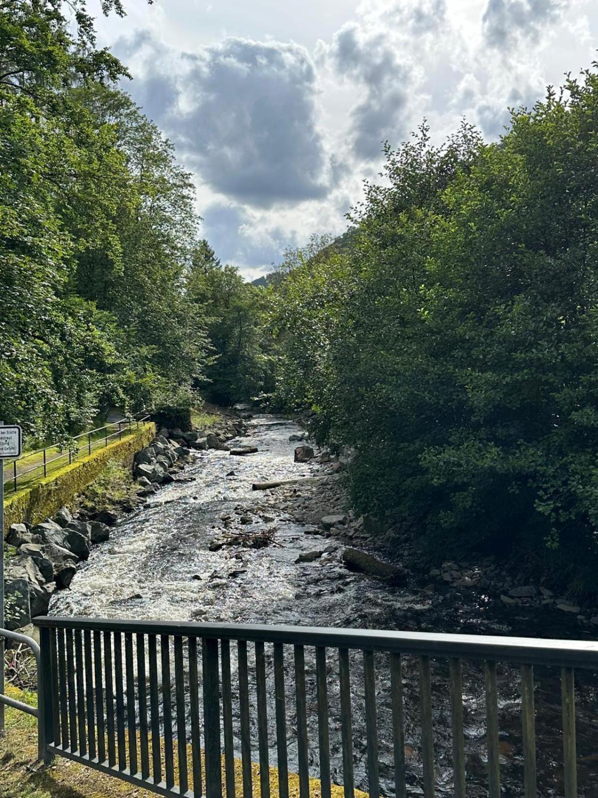 Ferienbutzen Harz Heikenberg, Bad Lauterberg Mit Schwimmbad Und Sauna Ngoại thất bức ảnh
