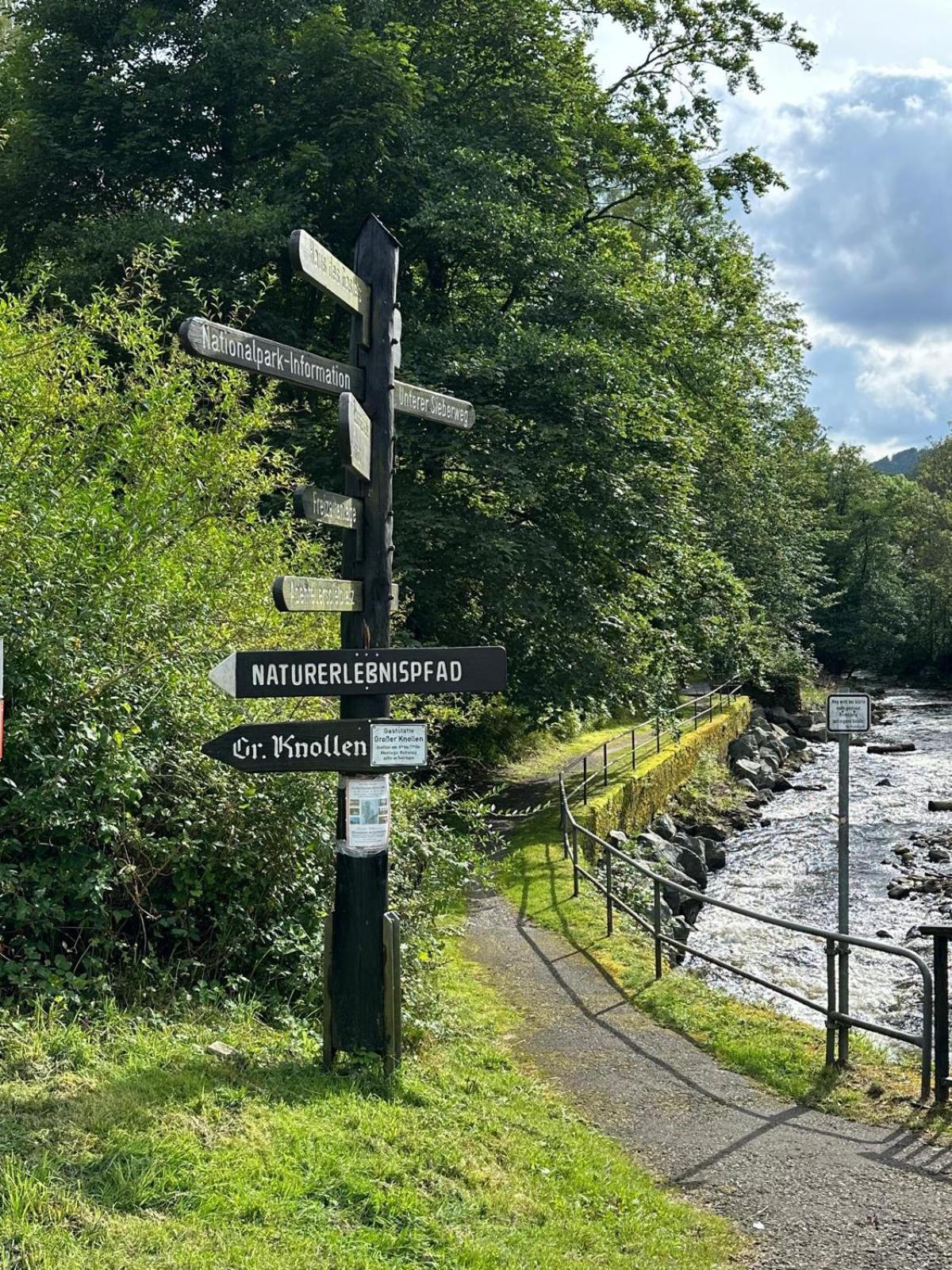 Ferienbutzen Harz Heikenberg, Bad Lauterberg Mit Schwimmbad Und Sauna Ngoại thất bức ảnh